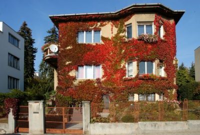 Cieszące się nieustannym zaufaniem urządzenia firmy Dospel pomagają w wymianie powietrza