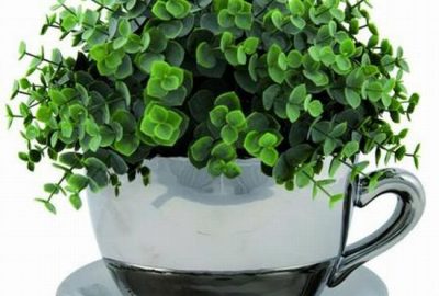 Doniczka FILIŻANKA www.crazyshop.pl