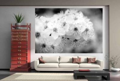 Fotografia pochodzi z DCN Gallery