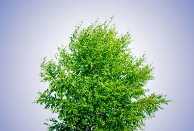Obecnie bezkonkurencyjną alternatywą na rynku oświetleń są diody LED.