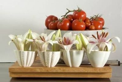 Biuro Kwiatowe Holandia prezentuje Lilie