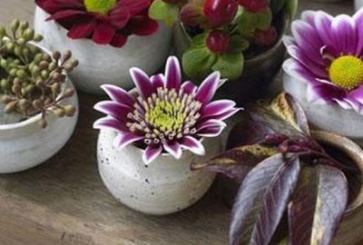 Delikatna kwiatowa dekoracja Biuro Kwiatowe Holandia Sigma International