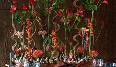 Biuro Kwiatowe Holandia egzotyczna kompozycja kwiatowa