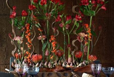 Biuro Kwiatowe Holandia egzotyczna kompozycja kwiatowa