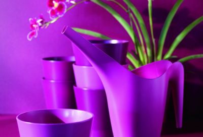 IKEA fioletowa konewka